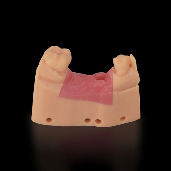 Еластична фотополімерна смола RESIONE F80 Elastic 3D Printer Resin Dental Gum Color RES16 фото