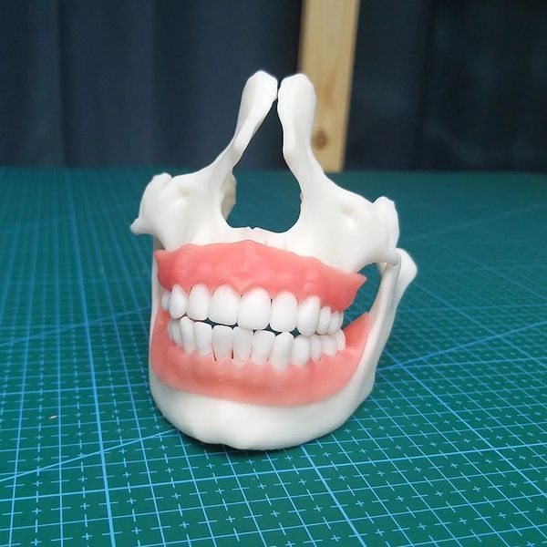 Еластична фотополімерна смола RESIONE F80 Elastic 3D Printer Resin Dental Gum Color RES16 фото